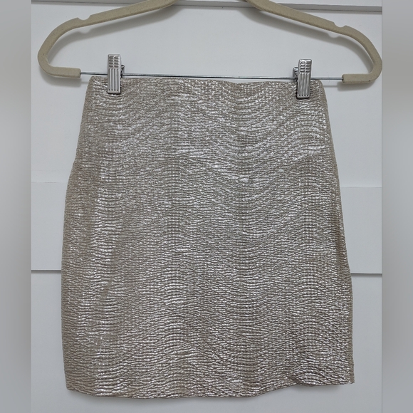 BCBGeneration Silver Mini Skirt - Picture 9 of 10